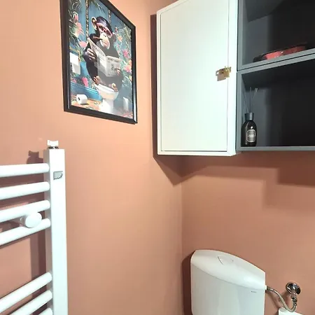 Rose-to Nel Centro Storico Di ! Τορίνο