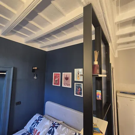 Rose-to Nel Centro Storico Di ! Τορίνο