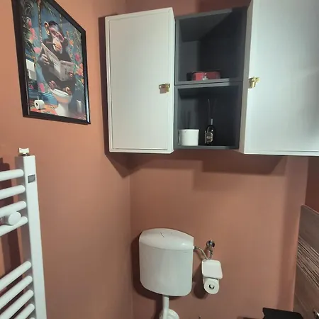 Rose-to Nel Centro Storico Di ! * Τορίνο